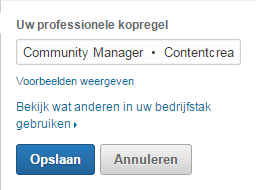 Via LinkedIn kun je ook checken wat andere mensen in hun headline zetten