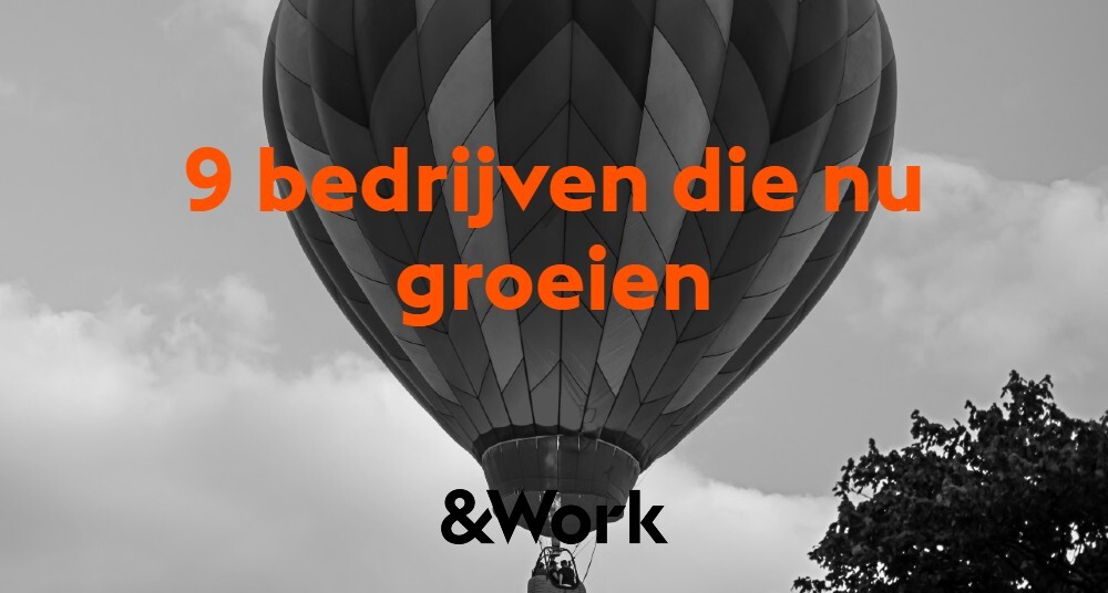 Bedrijven in NL & BE die nú groeien & talentvol personeel zoeken!